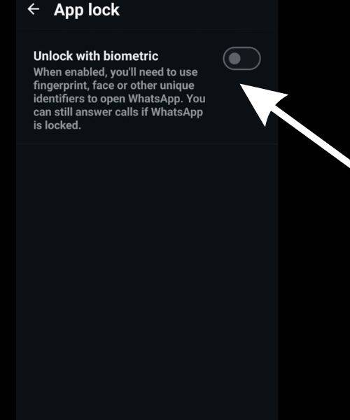 WhatsApp App Lock
